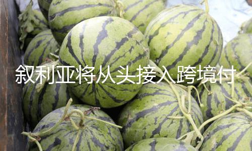 【吃瓜黑料在線】敘利亞新任央行行長表明