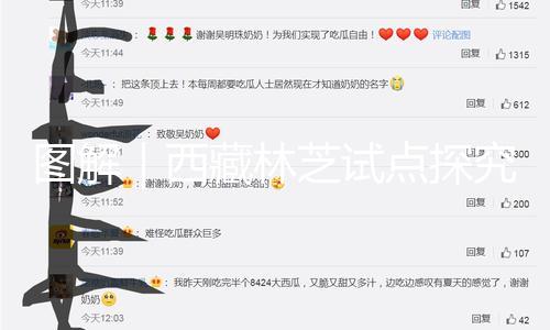 【91吃瓜網站】圖解探究91吃瓜網站