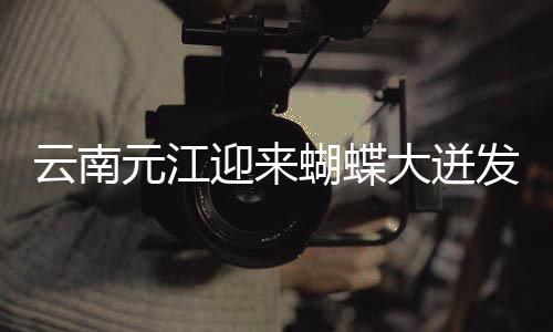 【51吃瓜出品】