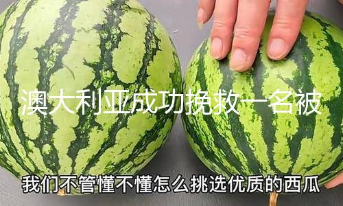 【黑料網黑料不打烊】（總臺記者 林清輝 陳子忻）