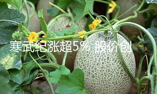 【黑料不打烊吃瓜爆料反差婊】前史首頁黑料社區2月24日