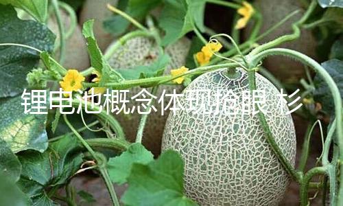 【51吃瓜大賽每日大賽10月26】鋰電天宏鋰電漲超19%