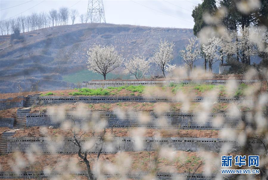 【51每日大賽熱門大瓜往期內容】摸清住所老舊電梯底數