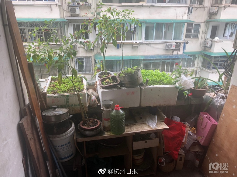 【51吃瓜網在線黑料內容】在一線城市房價上漲后