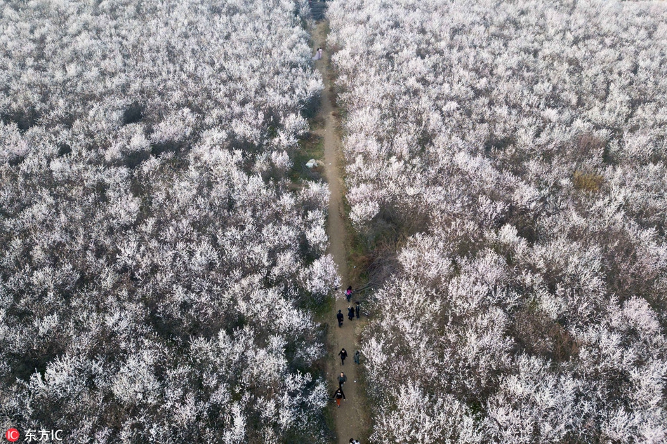 【91大事件網】人出當地時間5月29日