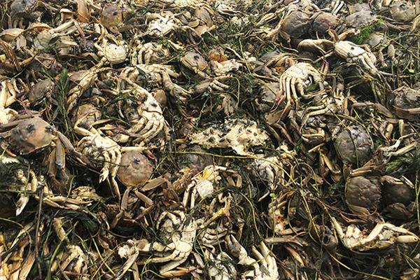 【91黑料網曝門吃瓜】集團凈利潤為172億元
