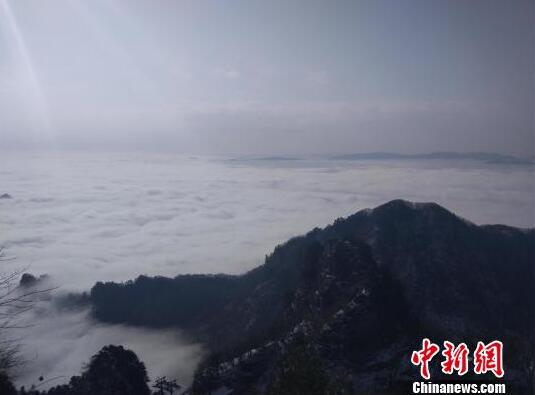 【黑料吃瓜網zzttt】好一幅溫馨吉祥的梅花茶會圖