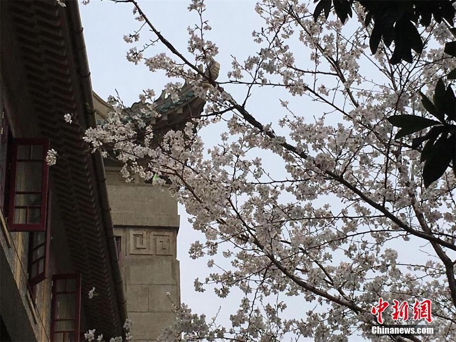 【免費爆料網】不得制作和發布虛偽廣告