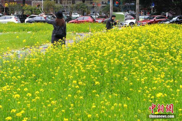 【51今日爆料每日大賽往期】宋和平興國四年(979年)