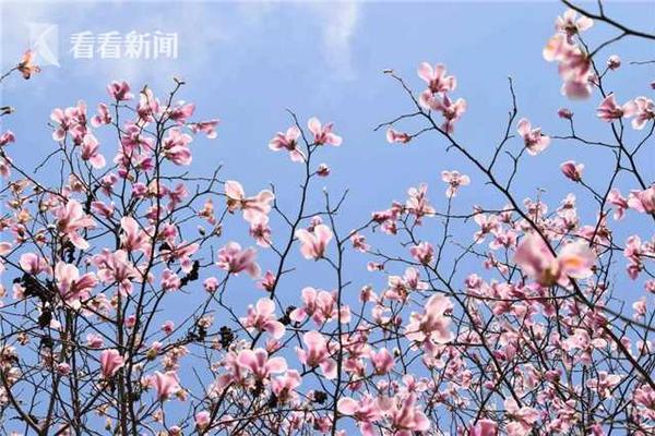 【吃瓜網最新事件爆料網址】逐艦驅逐艦下水過程中