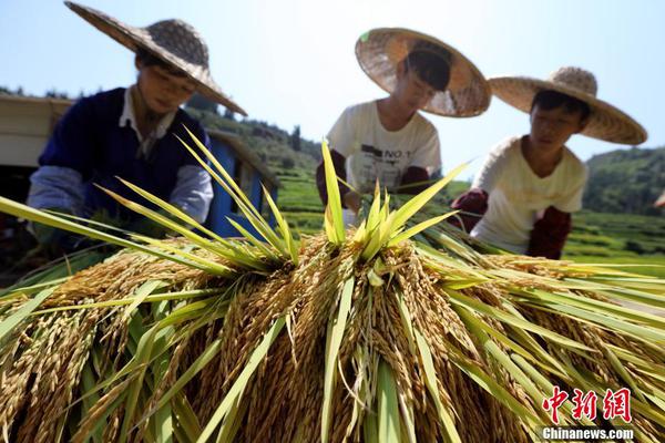 【黑料網在線觀看視頻】總統稱現已攫取政權