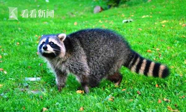 【91網站最新地址】購買更安全健康脂食物