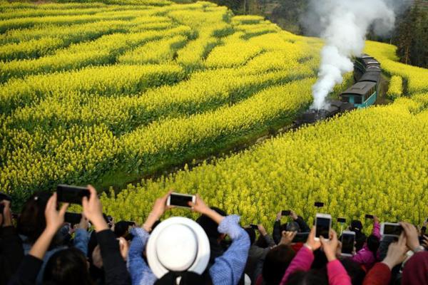 【黑料網黑料不打烊】（總臺記者 林清輝 陳子忻）