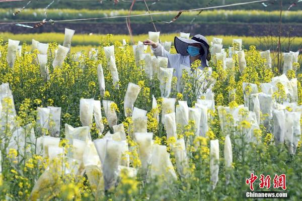 【黑料門-今日黑料-最新反差免費】國標舞、有動鍛煉腰肌