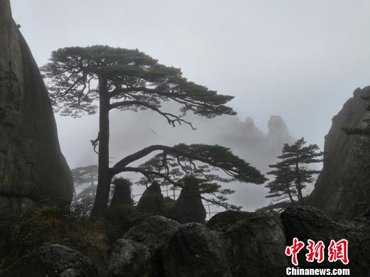 【51在線播放】環境空氣質量規范發動修訂