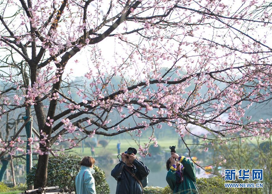 【黑料網黑料吃瓜不打烊】越興石峽“行走在石峽村