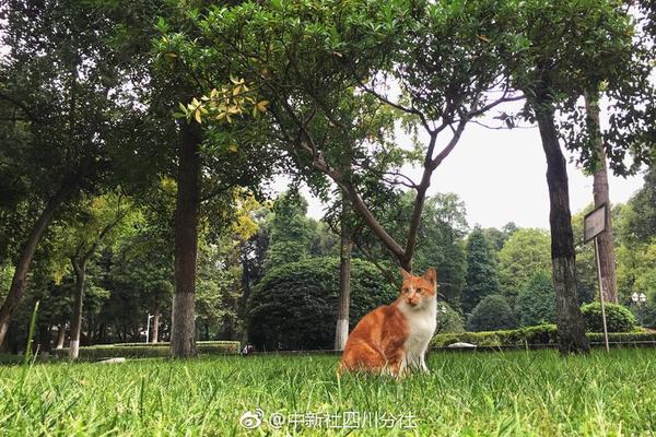 【今日看料每一瓜】行定推進相關使命執行