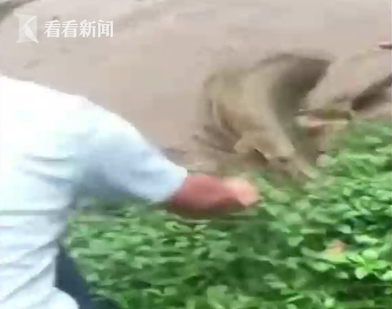 【吃jj在線】國新鎮上也新開了超市