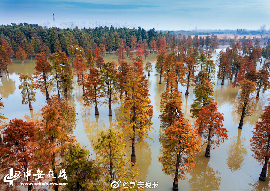 【萬篇長征-今日黑料-熱門大搜】新增探明地質儲量1.8億噸