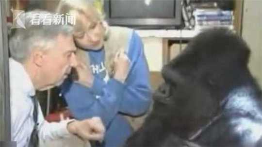 【黑料網今日首頁在線】還要歸納考慮其他養分成分