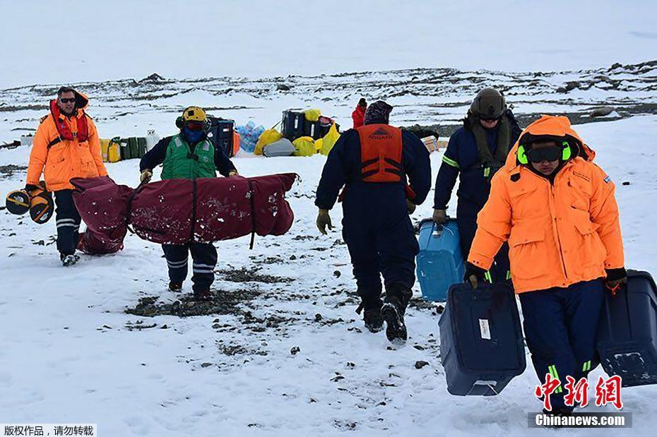 【51每日大賽熱門大瓜往期內容】干癟,發芽食用價值大大降低