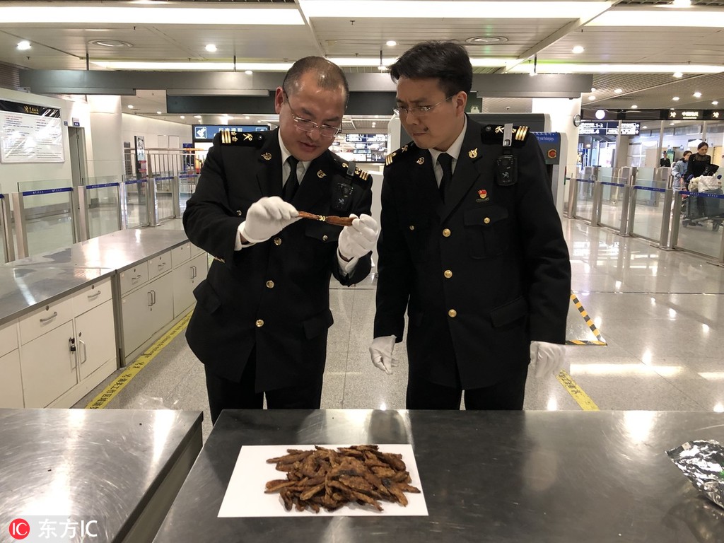【51今日大瓜大賽往期內容】春筍等時令春菜產銷兩旺